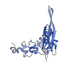 25534_7syn_D_v1-0
Structure of the HCV IRES bound to the 40S ribosomal subunit, head opening. Structure 8(delta dII)