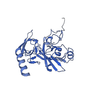 25534_7syn_F_v1-0
Structure of the HCV IRES bound to the 40S ribosomal subunit, head opening. Structure 8(delta dII)