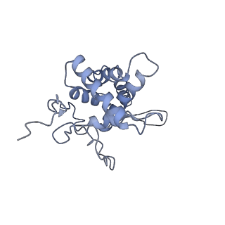 25534_7syn_G_v1-0
Structure of the HCV IRES bound to the 40S ribosomal subunit, head opening. Structure 8(delta dII)