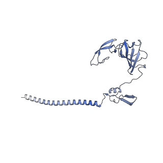 25534_7syn_H_v1-0
Structure of the HCV IRES bound to the 40S ribosomal subunit, head opening. Structure 8(delta dII)