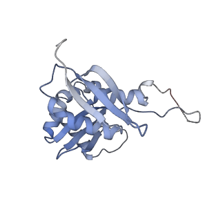 25534_7syn_I_v1-0
Structure of the HCV IRES bound to the 40S ribosomal subunit, head opening. Structure 8(delta dII)