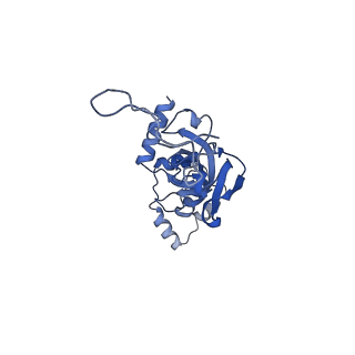 25534_7syn_J_v1-0
Structure of the HCV IRES bound to the 40S ribosomal subunit, head opening. Structure 8(delta dII)