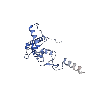 25534_7syn_K_v1-0
Structure of the HCV IRES bound to the 40S ribosomal subunit, head opening. Structure 8(delta dII)