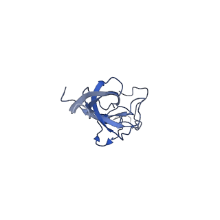 25534_7syn_M_v1-0
Structure of the HCV IRES bound to the 40S ribosomal subunit, head opening. Structure 8(delta dII)