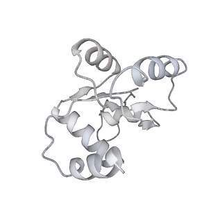 25534_7syn_N_v1-0
Structure of the HCV IRES bound to the 40S ribosomal subunit, head opening. Structure 8(delta dII)