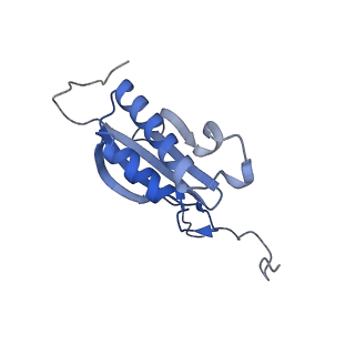 25534_7syn_P_v1-0
Structure of the HCV IRES bound to the 40S ribosomal subunit, head opening. Structure 8(delta dII)
