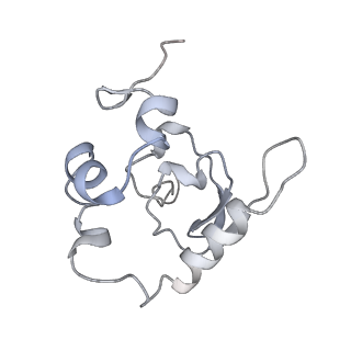 25534_7syn_Q_v1-0
Structure of the HCV IRES bound to the 40S ribosomal subunit, head opening. Structure 8(delta dII)