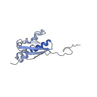 25534_7syn_R_v1-0
Structure of the HCV IRES bound to the 40S ribosomal subunit, head opening. Structure 8(delta dII)