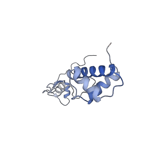 25534_7syn_S_v1-0
Structure of the HCV IRES bound to the 40S ribosomal subunit, head opening. Structure 8(delta dII)