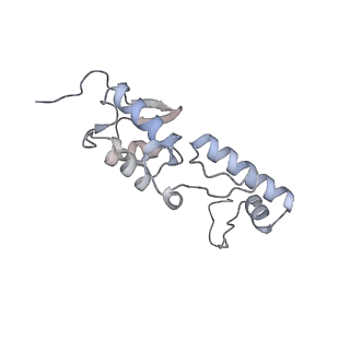 25534_7syn_T_v1-0
Structure of the HCV IRES bound to the 40S ribosomal subunit, head opening. Structure 8(delta dII)
