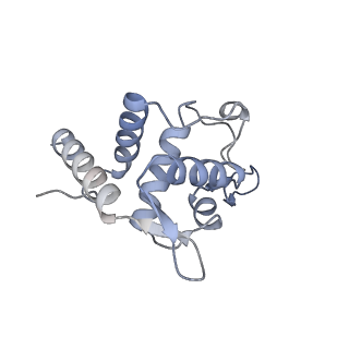 25534_7syn_U_v1-0
Structure of the HCV IRES bound to the 40S ribosomal subunit, head opening. Structure 8(delta dII)