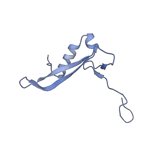 25534_7syn_W_v1-0
Structure of the HCV IRES bound to the 40S ribosomal subunit, head opening. Structure 8(delta dII)