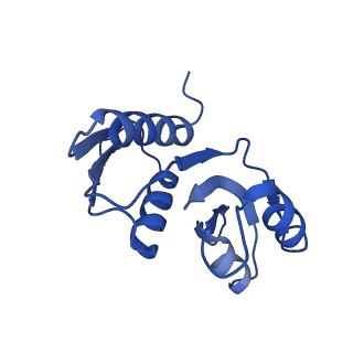 25534_7syn_X_v1-0
Structure of the HCV IRES bound to the 40S ribosomal subunit, head opening. Structure 8(delta dII)