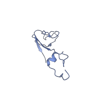 25534_7syn_c_v1-0
Structure of the HCV IRES bound to the 40S ribosomal subunit, head opening. Structure 8(delta dII)