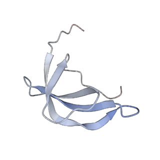 25534_7syn_d_v1-0
Structure of the HCV IRES bound to the 40S ribosomal subunit, head opening. Structure 8(delta dII)