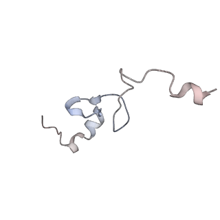 25534_7syn_e_v1-0
Structure of the HCV IRES bound to the 40S ribosomal subunit, head opening. Structure 8(delta dII)