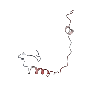 25534_7syn_f_v1-0
Structure of the HCV IRES bound to the 40S ribosomal subunit, head opening. Structure 8(delta dII)