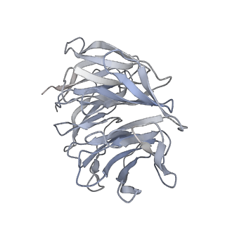 25534_7syn_h_v1-0
Structure of the HCV IRES bound to the 40S ribosomal subunit, head opening. Structure 8(delta dII)