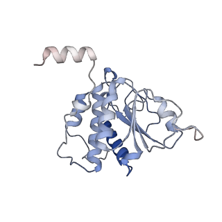 25535_7syo_B_v1-1
Structure of the HCV IRES bound to the 40S ribosomal subunit, head open. Structure 9(delta dII)