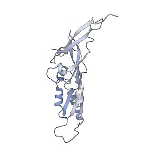 25535_7syo_C_v1-1
Structure of the HCV IRES bound to the 40S ribosomal subunit, head open. Structure 9(delta dII)