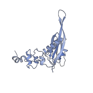 25535_7syo_D_v1-1
Structure of the HCV IRES bound to the 40S ribosomal subunit, head open. Structure 9(delta dII)