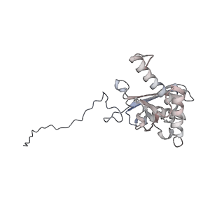 25535_7syo_E_v1-1
Structure of the HCV IRES bound to the 40S ribosomal subunit, head open. Structure 9(delta dII)