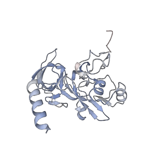 25535_7syo_F_v1-1
Structure of the HCV IRES bound to the 40S ribosomal subunit, head open. Structure 9(delta dII)