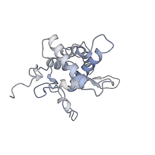25535_7syo_G_v1-1
Structure of the HCV IRES bound to the 40S ribosomal subunit, head open. Structure 9(delta dII)