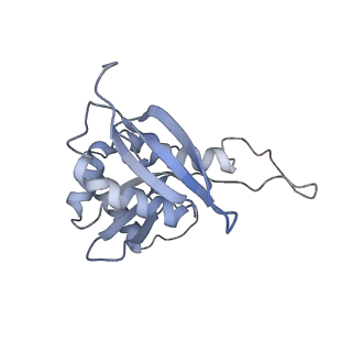25535_7syo_I_v1-1
Structure of the HCV IRES bound to the 40S ribosomal subunit, head open. Structure 9(delta dII)