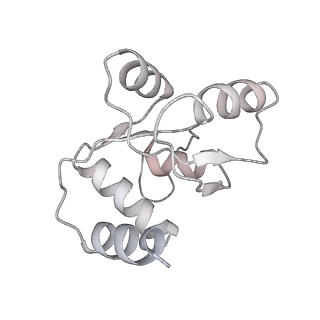25535_7syo_N_v1-1
Structure of the HCV IRES bound to the 40S ribosomal subunit, head open. Structure 9(delta dII)