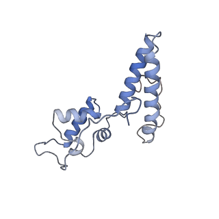 25535_7syo_O_v1-1
Structure of the HCV IRES bound to the 40S ribosomal subunit, head open. Structure 9(delta dII)