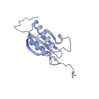25535_7syo_P_v1-1
Structure of the HCV IRES bound to the 40S ribosomal subunit, head open. Structure 9(delta dII)