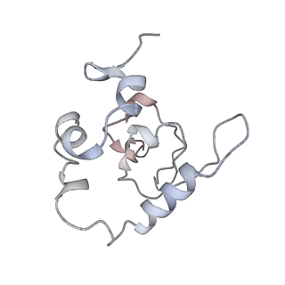 25535_7syo_Q_v1-1
Structure of the HCV IRES bound to the 40S ribosomal subunit, head open. Structure 9(delta dII)
