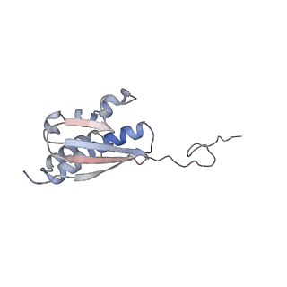 25535_7syo_R_v1-1
Structure of the HCV IRES bound to the 40S ribosomal subunit, head open. Structure 9(delta dII)