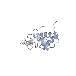 25535_7syo_S_v1-1
Structure of the HCV IRES bound to the 40S ribosomal subunit, head open. Structure 9(delta dII)