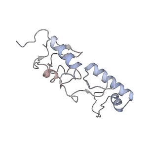 25535_7syo_T_v1-1
Structure of the HCV IRES bound to the 40S ribosomal subunit, head open. Structure 9(delta dII)