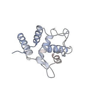 25535_7syo_U_v1-1
Structure of the HCV IRES bound to the 40S ribosomal subunit, head open. Structure 9(delta dII)