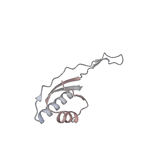 25535_7syo_V_v1-1
Structure of the HCV IRES bound to the 40S ribosomal subunit, head open. Structure 9(delta dII)