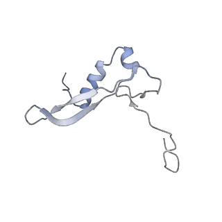 25535_7syo_W_v1-1
Structure of the HCV IRES bound to the 40S ribosomal subunit, head open. Structure 9(delta dII)