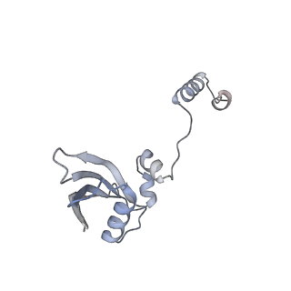 25535_7syo_Z_v1-1
Structure of the HCV IRES bound to the 40S ribosomal subunit, head open. Structure 9(delta dII)
