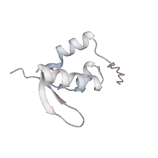 25535_7syo_a_v1-1
Structure of the HCV IRES bound to the 40S ribosomal subunit, head open. Structure 9(delta dII)