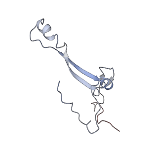 25535_7syo_b_v1-1
Structure of the HCV IRES bound to the 40S ribosomal subunit, head open. Structure 9(delta dII)