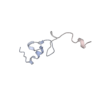 25535_7syo_e_v1-1
Structure of the HCV IRES bound to the 40S ribosomal subunit, head open. Structure 9(delta dII)