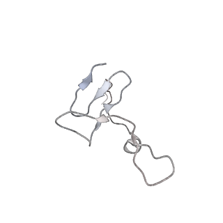 25535_7syo_g_v1-1
Structure of the HCV IRES bound to the 40S ribosomal subunit, head open. Structure 9(delta dII)