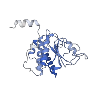 25536_7syp_B_v1-1
Structure of the wt IRES and 40S ribosome binary complex, open conformation. Structure 10(wt)