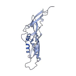 25536_7syp_C_v1-1
Structure of the wt IRES and 40S ribosome binary complex, open conformation. Structure 10(wt)