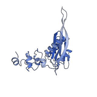 25536_7syp_D_v1-1
Structure of the wt IRES and 40S ribosome binary complex, open conformation. Structure 10(wt)