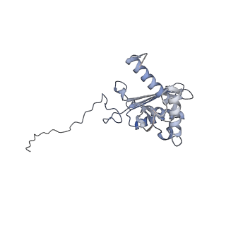 25536_7syp_E_v1-1
Structure of the wt IRES and 40S ribosome binary complex, open conformation. Structure 10(wt)