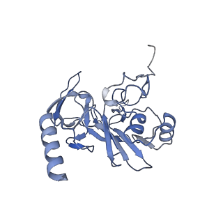 25536_7syp_F_v1-1
Structure of the wt IRES and 40S ribosome binary complex, open conformation. Structure 10(wt)