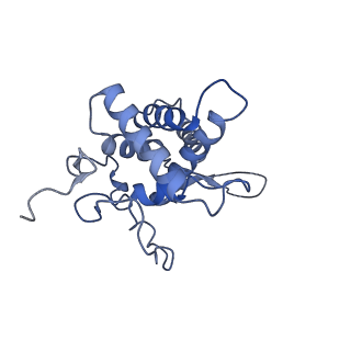 25536_7syp_G_v1-1
Structure of the wt IRES and 40S ribosome binary complex, open conformation. Structure 10(wt)
